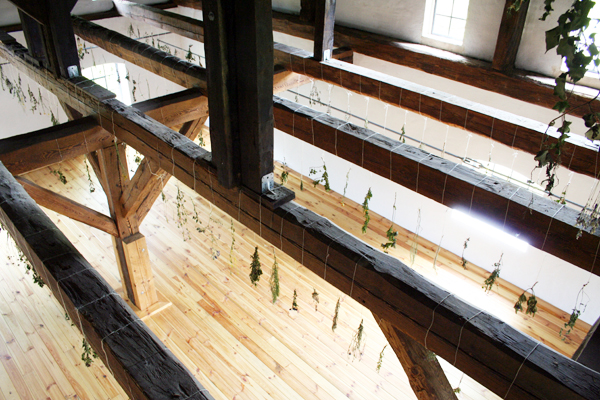 04hanging-garden