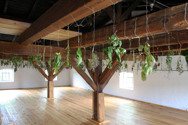 06hanging-garden