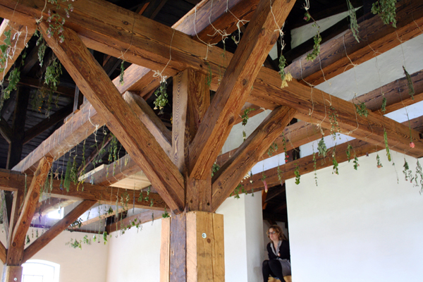 09hanging-garden