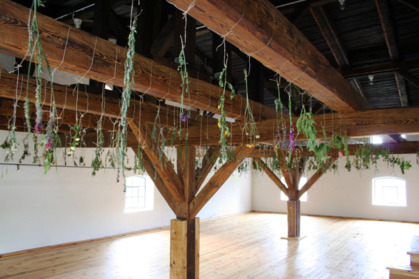 10hanging-garden1